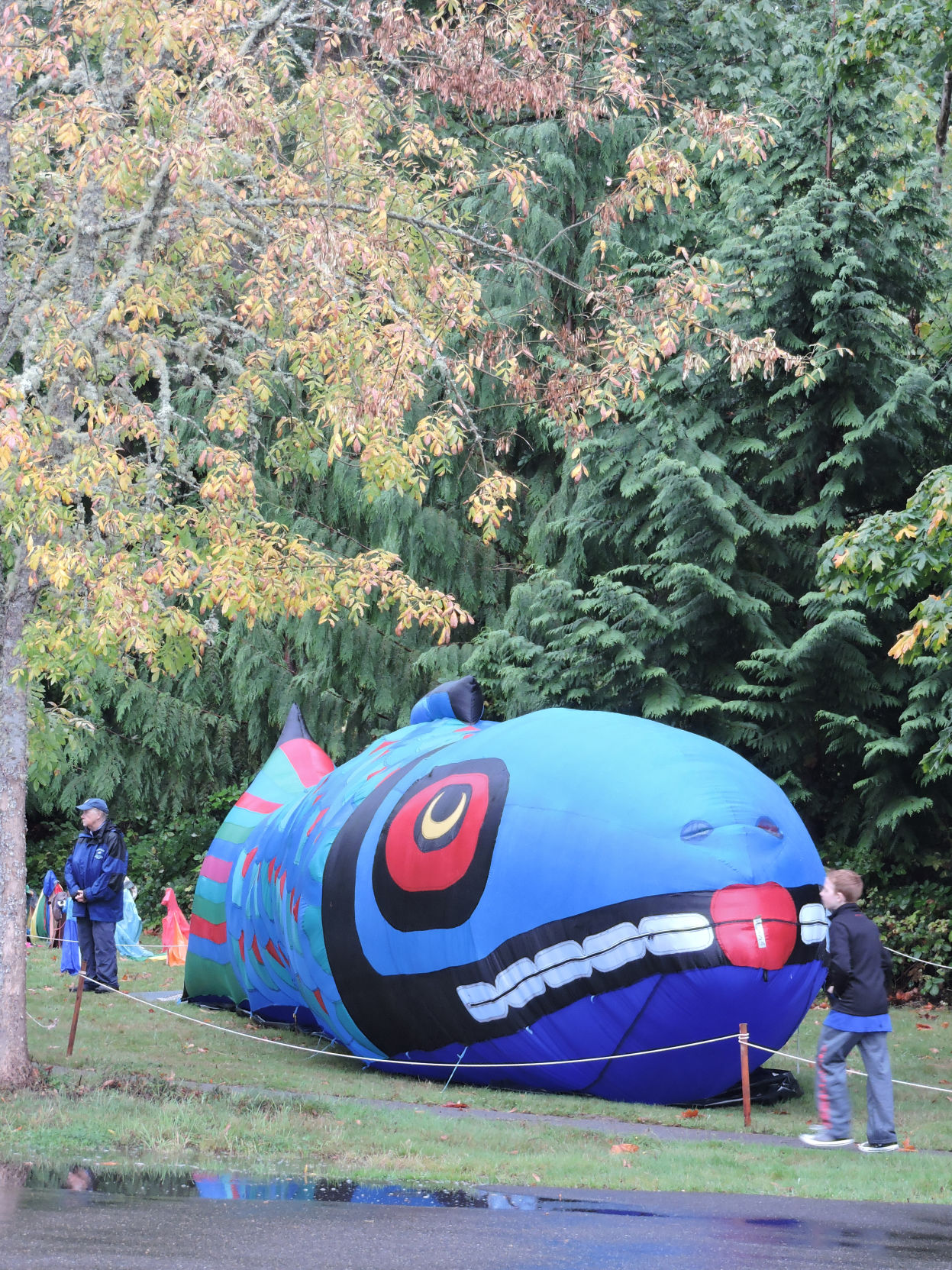 Watershed Festival